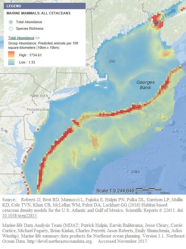 Marine mammal total abundance