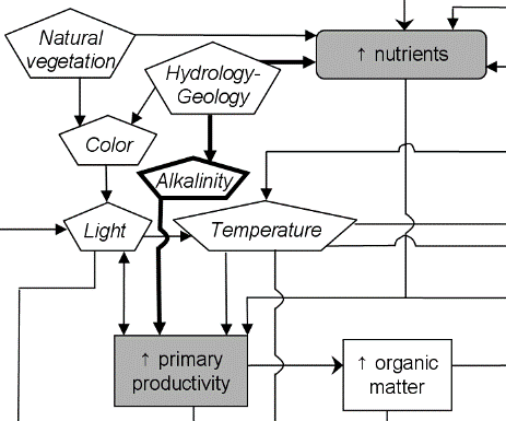 A flow chart connecting increased levels of nutrients to increased primary productivity. 