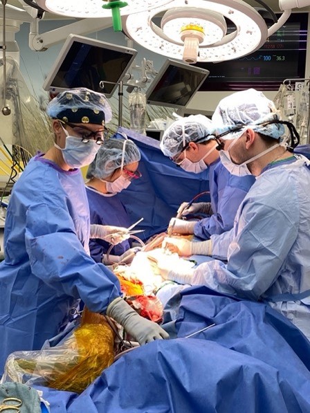 Picture of an EVAR Procedure in VA Boston's Hybrid OR