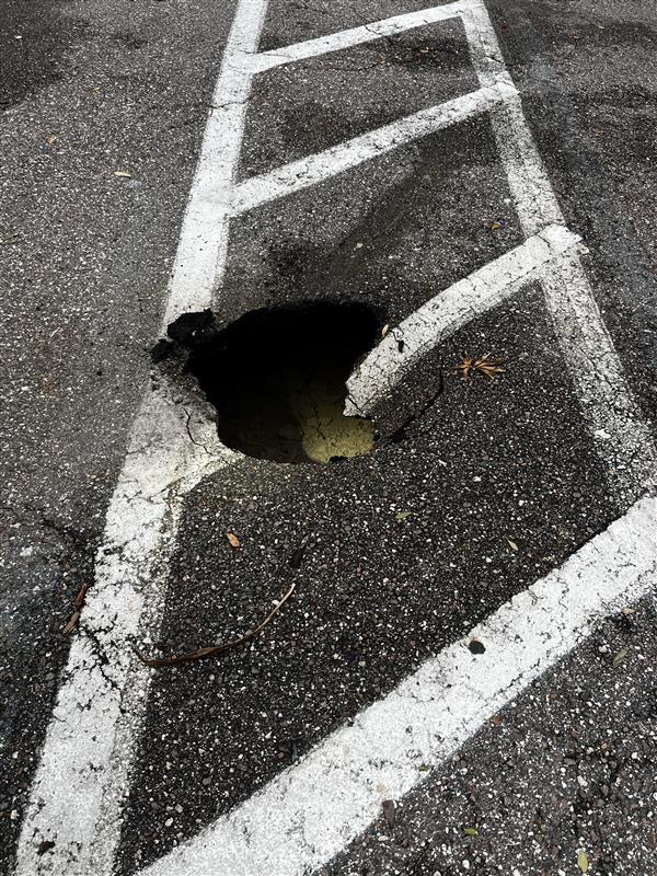 Small hole in the asphalt of a parking lot.