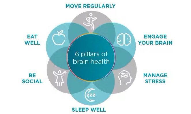 6pillarsofbrainhealth