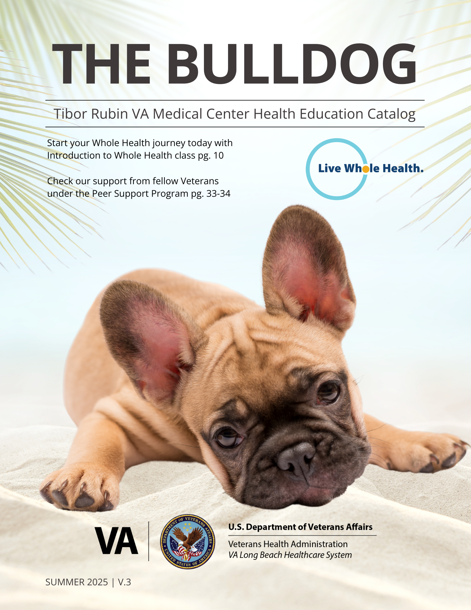 Bulldog Summer 2025 Cover