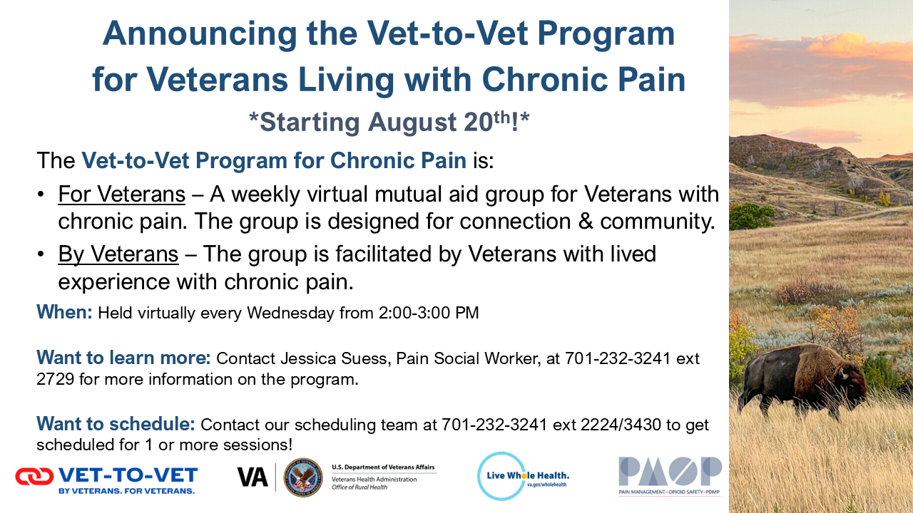 vet2vet flyer
