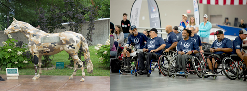 The  VA Wheelchair games and the Horse statue at entrance of Louisville VA
