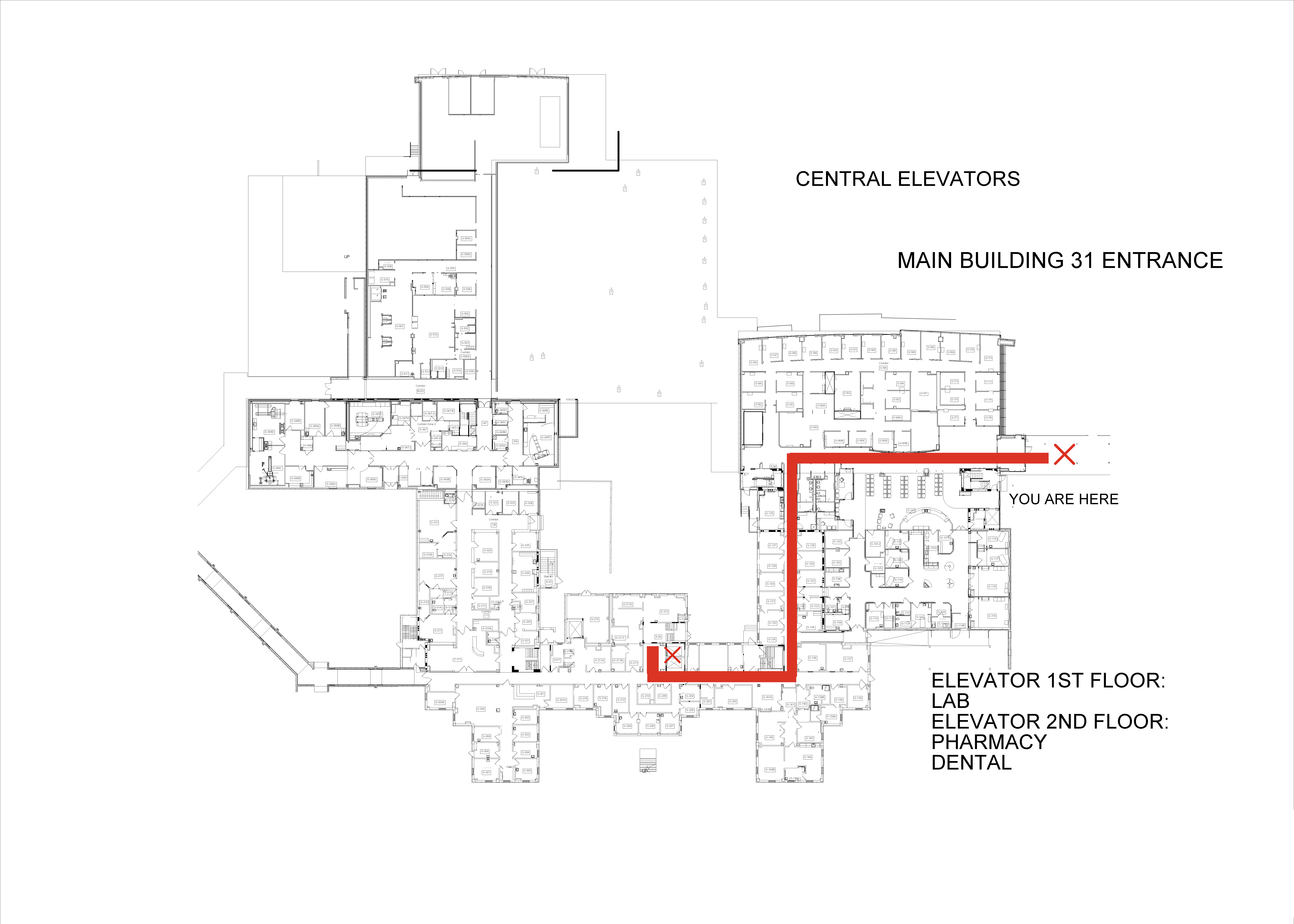 main entrance to central elevators