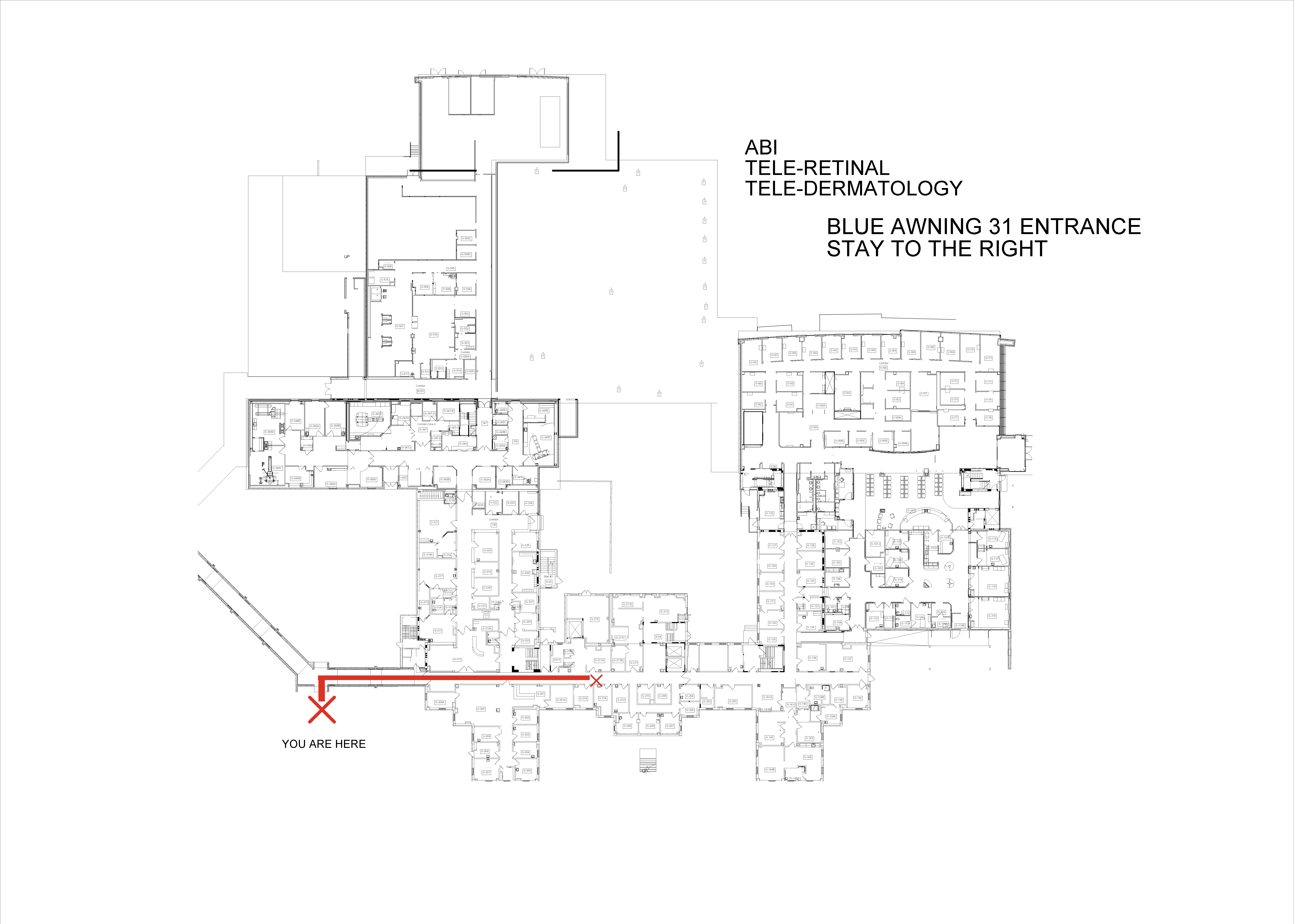 Blue Awning to Teleretinal and Dermatology