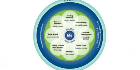 Whole Health wheel with four key principles and 9 elements.