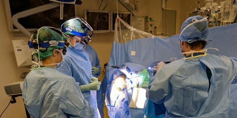 The Houston VA surgery team performs first 