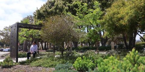 Veterans and VA staff can enjoy Bonsall Park's newest additions, 7 decorative pergolas that provide shade while maximizing the cool ocean breezes the campus is known for.