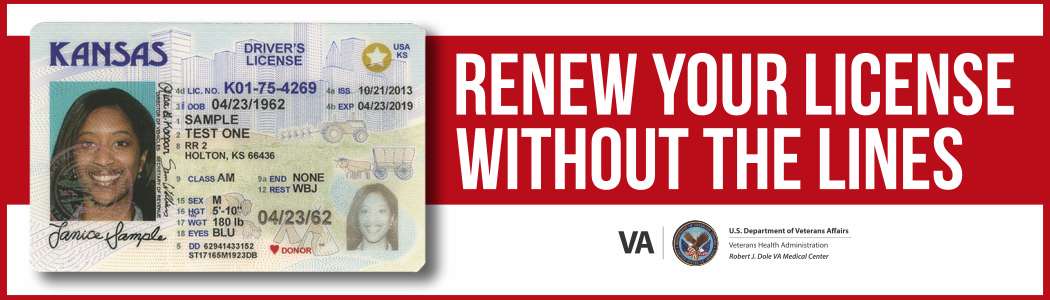 Driver's License Renewal - renew without the lines